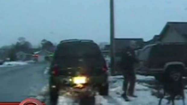 Video: Impacto: policía dispara y mata a perro