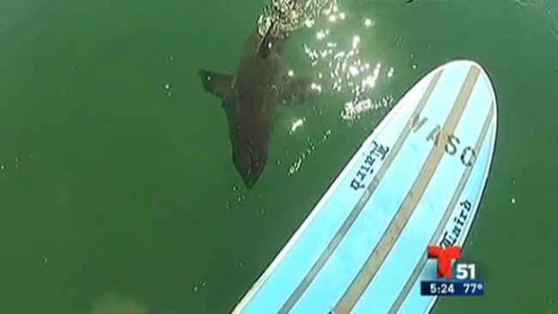 Video: Surfista vive momentos de terror