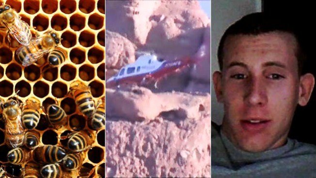 Muere huyendo de abejas