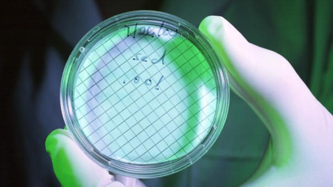 Latente amenaza de bacterias mortales