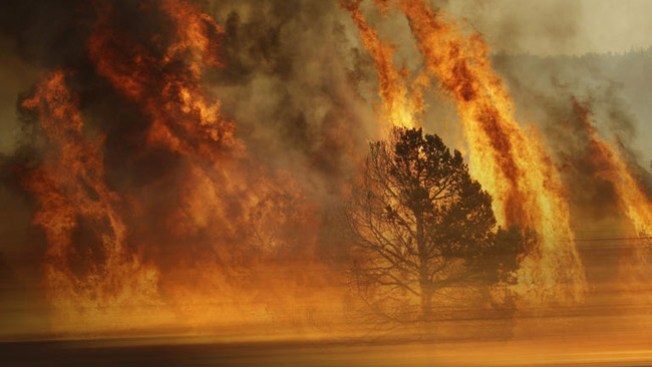 Feroz incendio forestal en California
