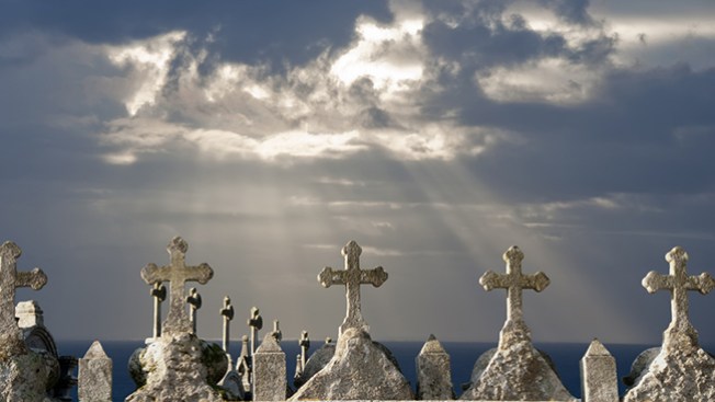 $5 millones para buscar la inmortalidad