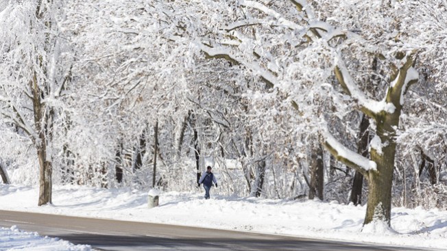 Noreste de EE.UU. bajo tormenta de nieve