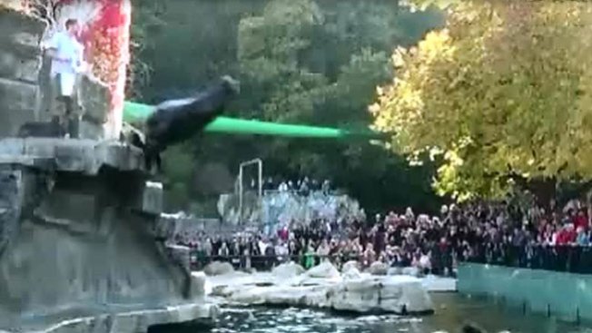 Mejores descuentos ¿Lunes Cibernético o Viernes Negro?